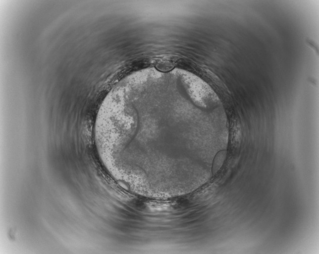 X0000100230661200806271751