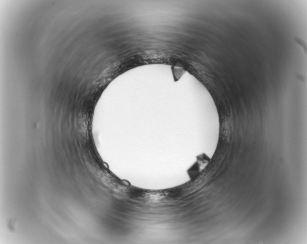 X0000100230662200806271751