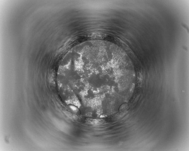 X0000100230663200806271751