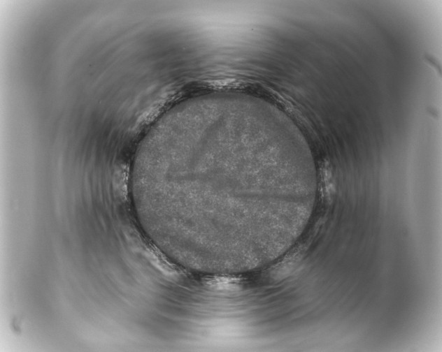 X0000100230664200806271751