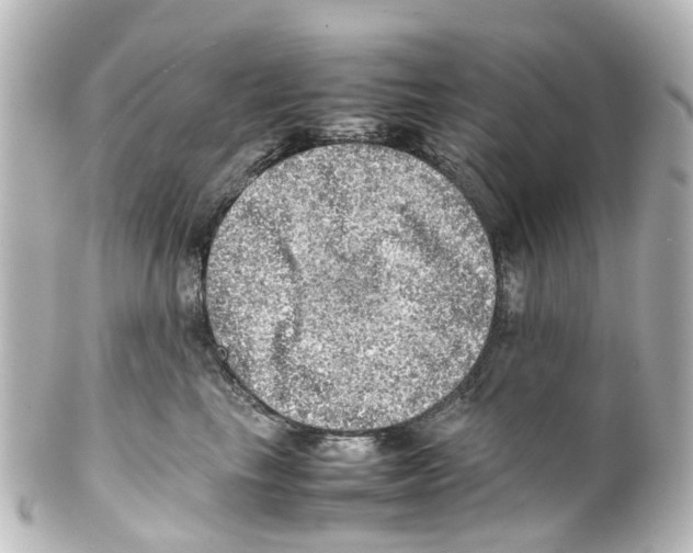 X0000100230665200806271751