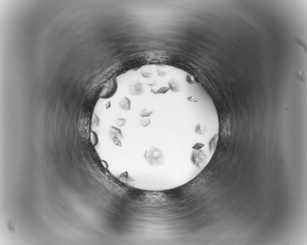 X0000100230666200806271751