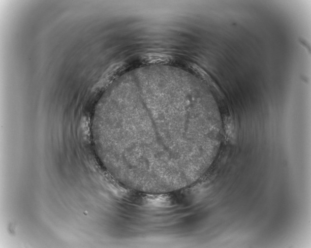 X0000100230667200806271751