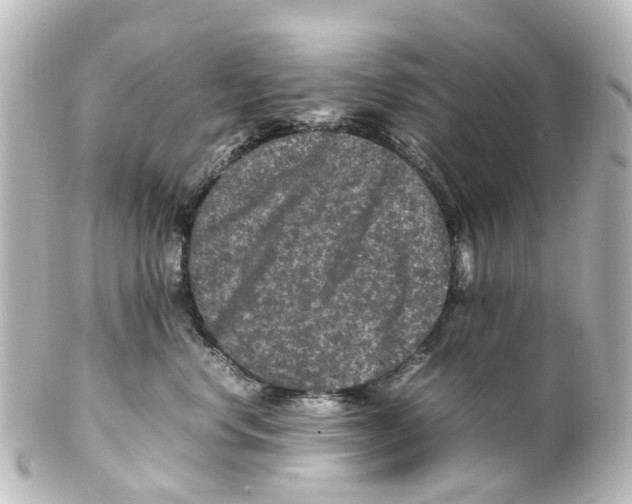 X0000100230668200806271751
