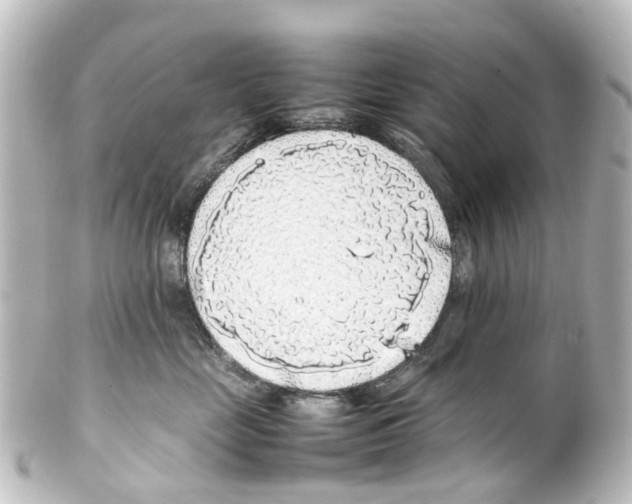 X0000100230669200806271751
