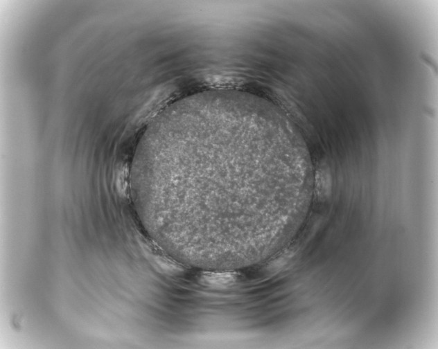 X0000100230671200806271751