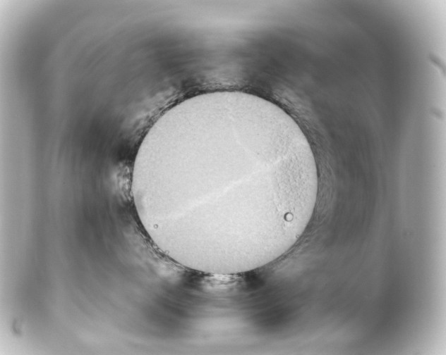 X0000100230672200806271751