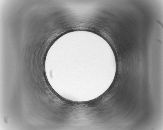 X0000100230673200806271751