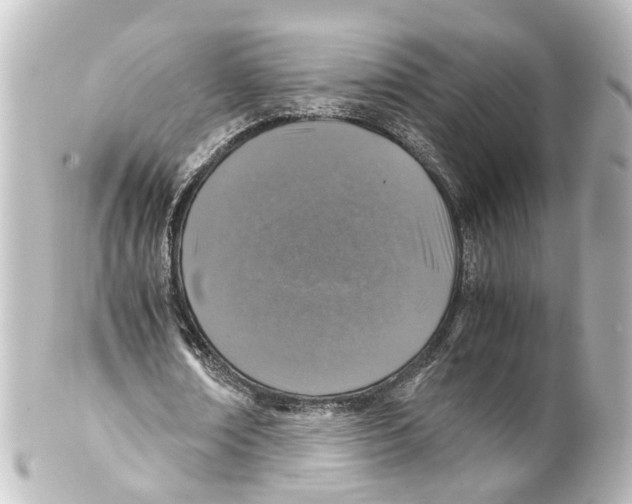 X0000100230674200806271751