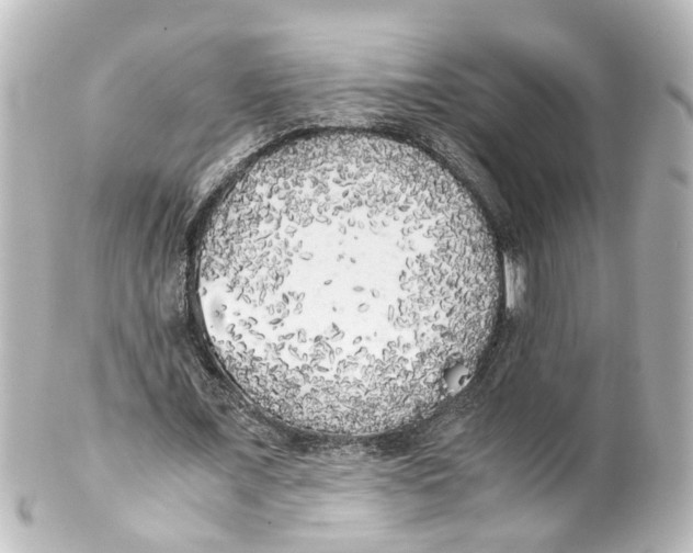 X0000100230675200806271751
