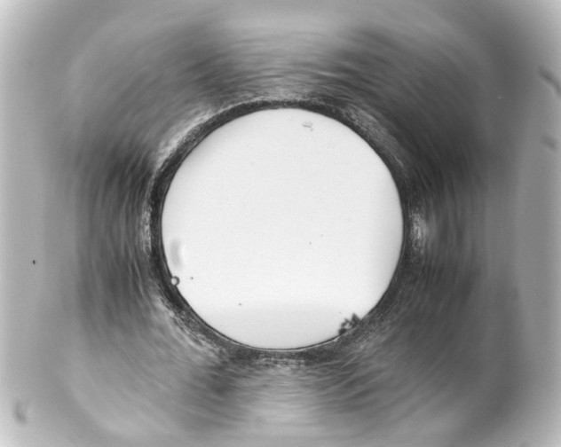 X0000100230676200806271751