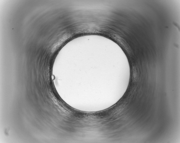 X0000100230677200806271751