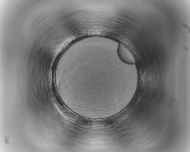 X0000100230678200806271751