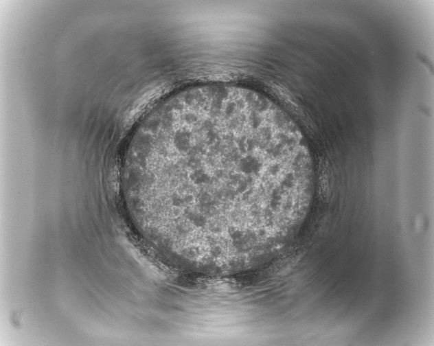 X0000100230683200806271751