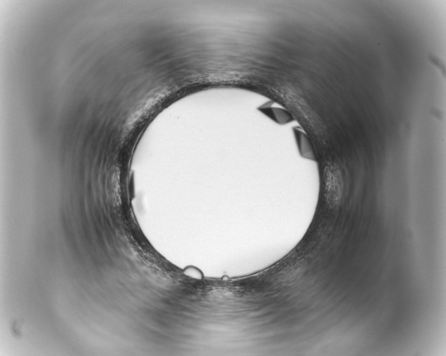 X0000100230684200806271751
