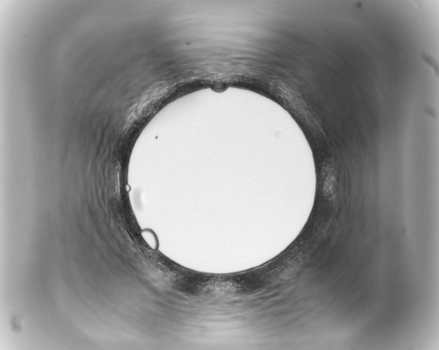 X0000100230685200806271751