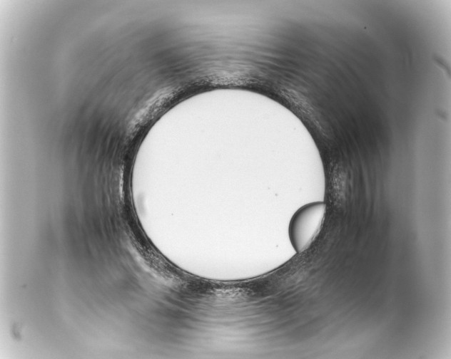 X0000100230686200806271751