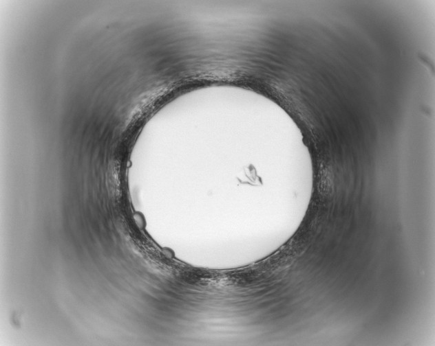 X0000100230688200806271751