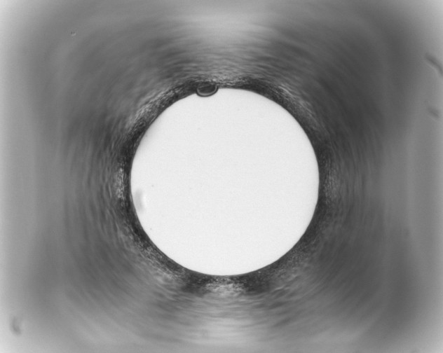 X0000100230689200806271751