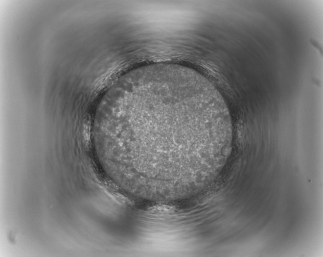 X0000100230691200806271751