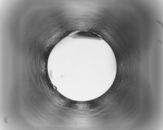 X0000100230693200806271750