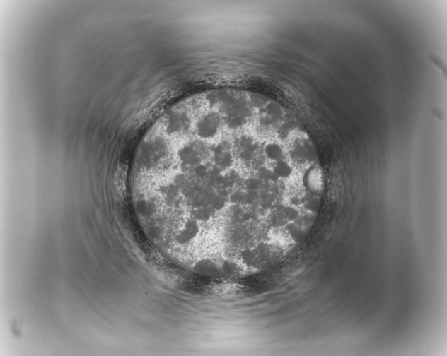 X0000100230695200806271750