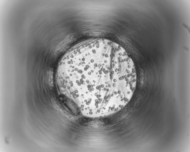 X0000100230696200806271750