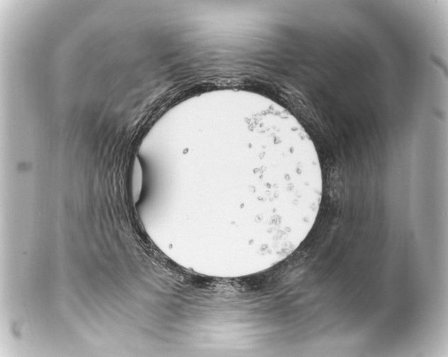 X0000100230697200806271750