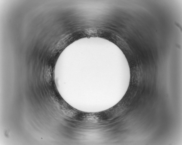 X0000100230702200806271750