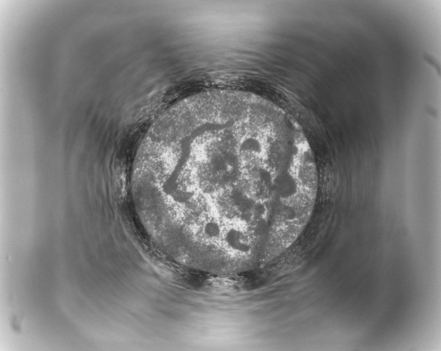 X0000100230703200806271750