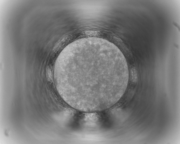 X0000100230705200806271750