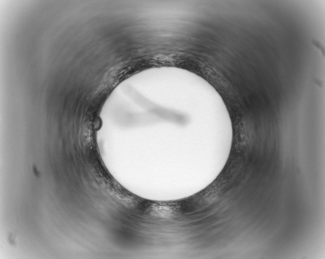 X0000100230706200806271750