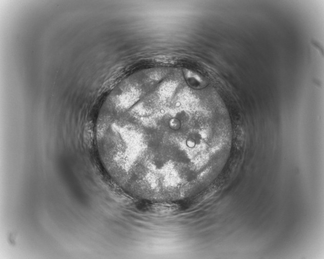 X0000100230707200806271750