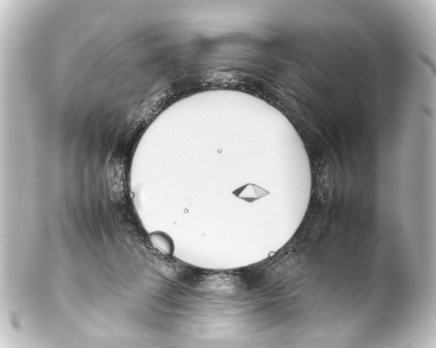 X0000100230708200806271750