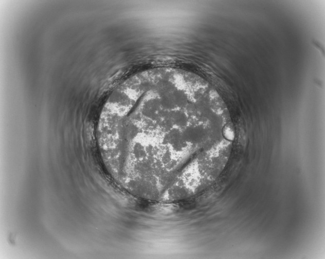 X0000100230711200806271750