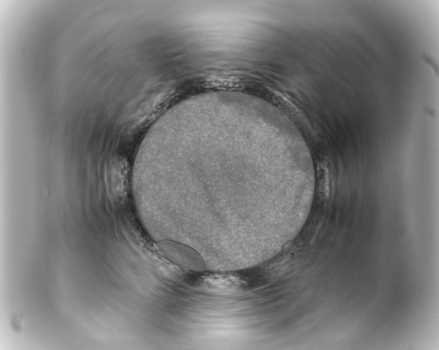 X0000100230712200806271750