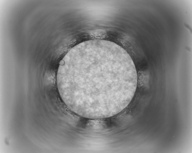 X0000100230713200806271750