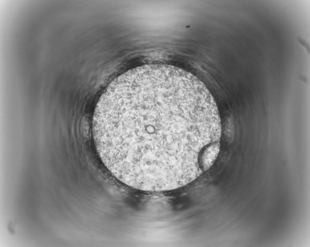 X0000100230715200806271750