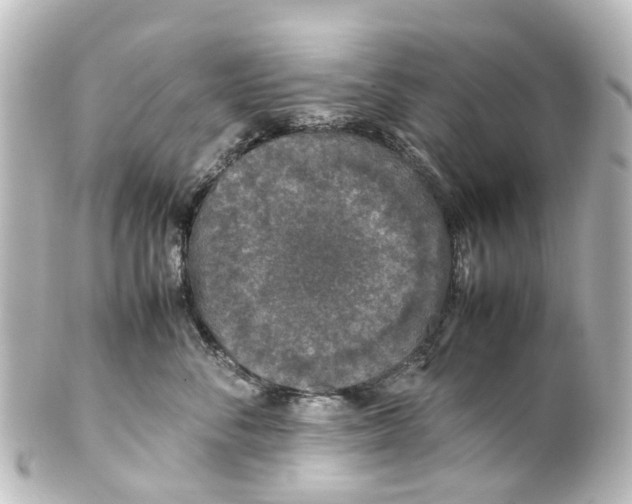 X0000100230716200806271750