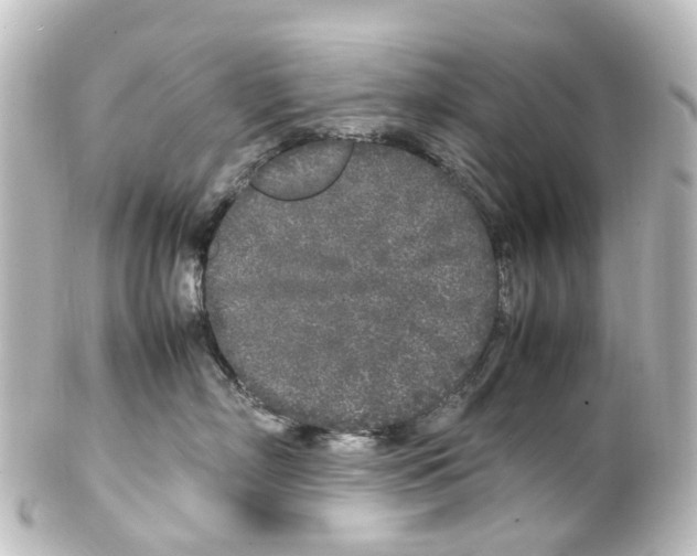 X0000100230718200806271750