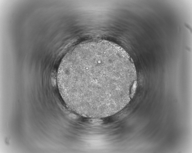 X0000100230719200806271750