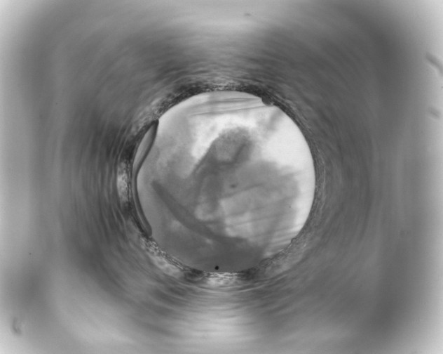 X0000100230720200806271750