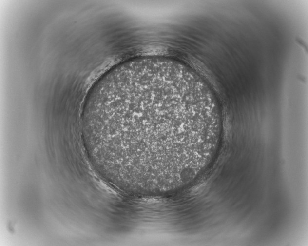 X0000100230721200806271749