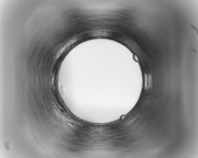 X0000100230723200806271749