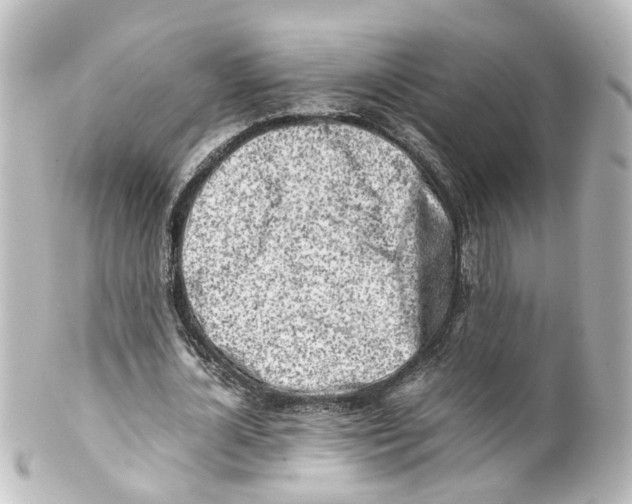 X0000100230724200806271749