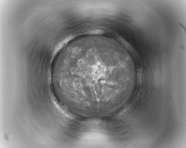 X0000100230726200806271749