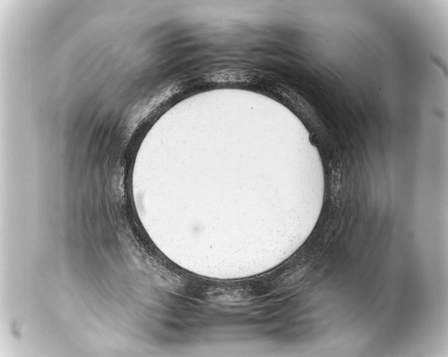 X0000100230727200806271749