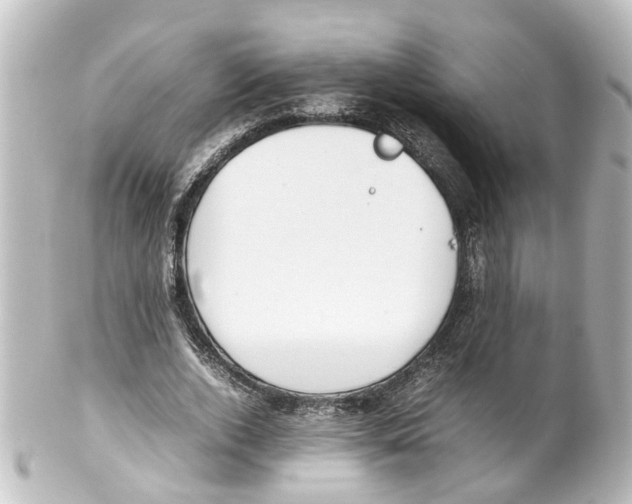 X0000100230728200806271749