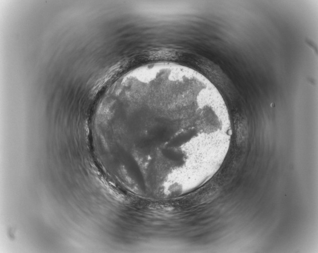 X0000100230729200806271749