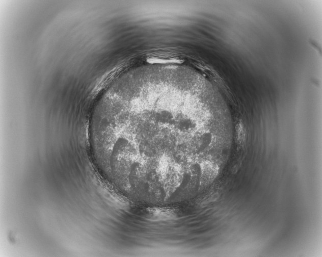 X0000100230733200806271749